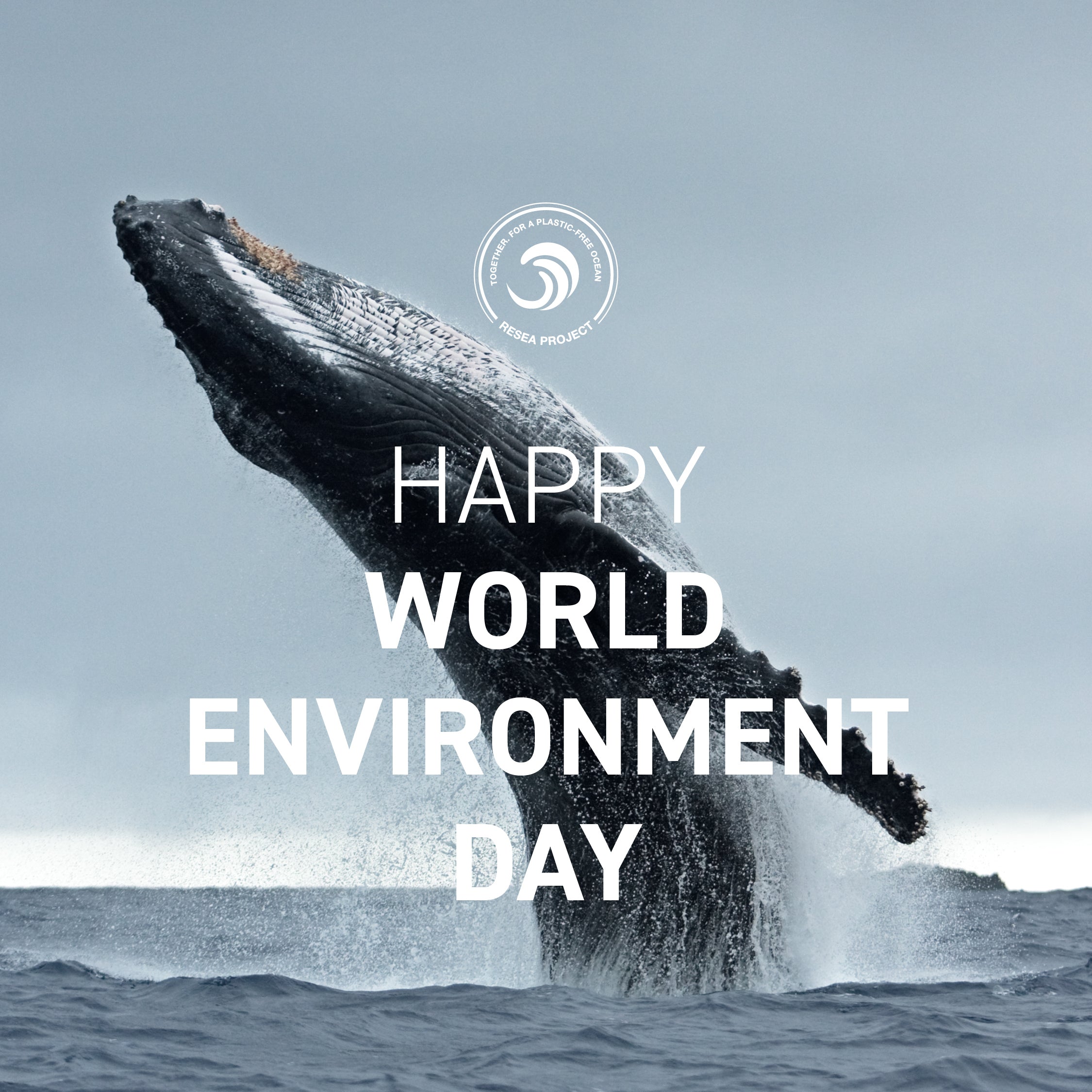 Celebrate World Environment Day with Love U!